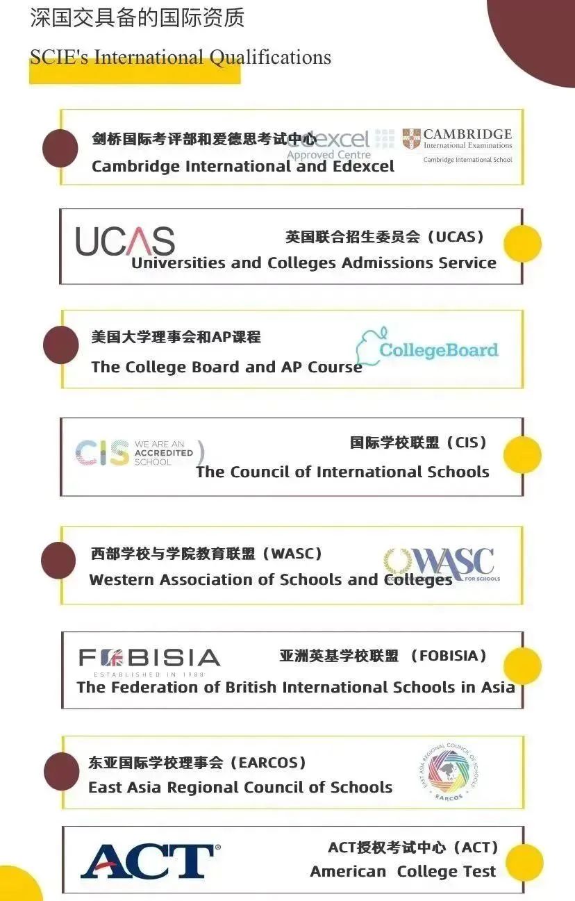 国际学校择校｜深圳国际交流书院（深国交）  深国交 深圳国际交流学院 第7张